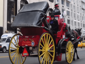 central park carriages