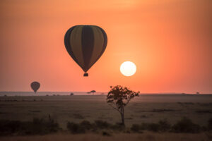 Africa safari tour