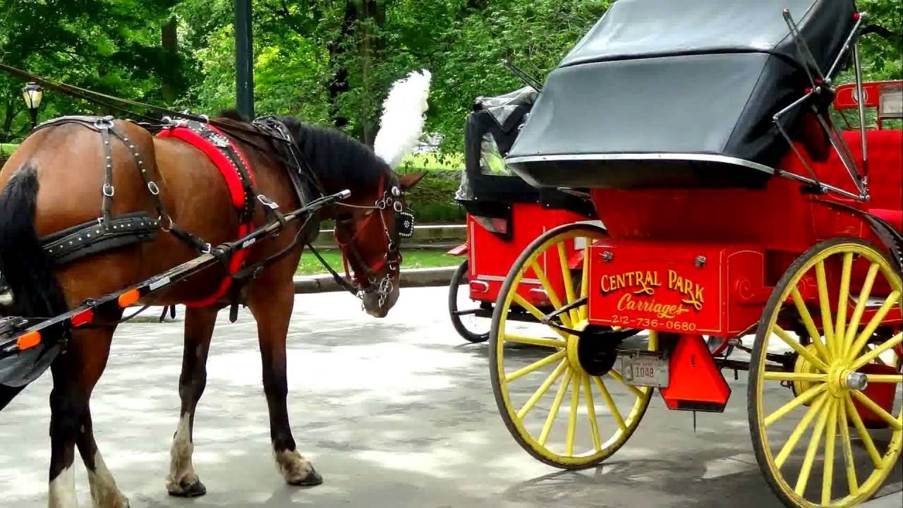 New York City Horse Carriage Rides