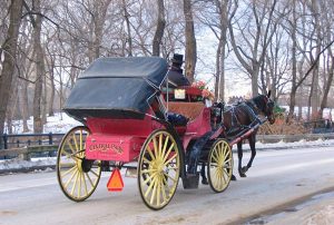 New York City Horse Carriage Rides