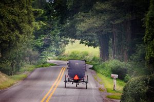 Private horse and carriage ride in central park