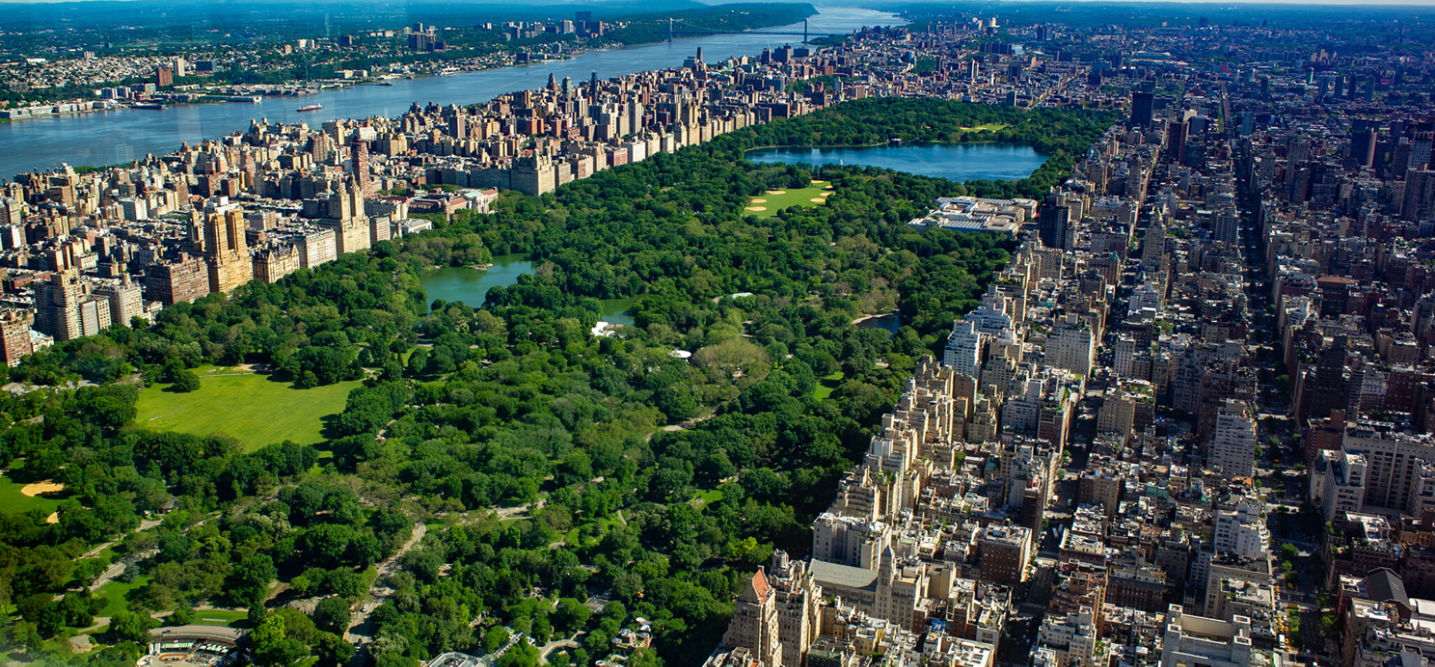 Central Park Carriage Tours