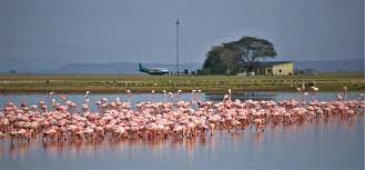 Bird Watching in Uganda