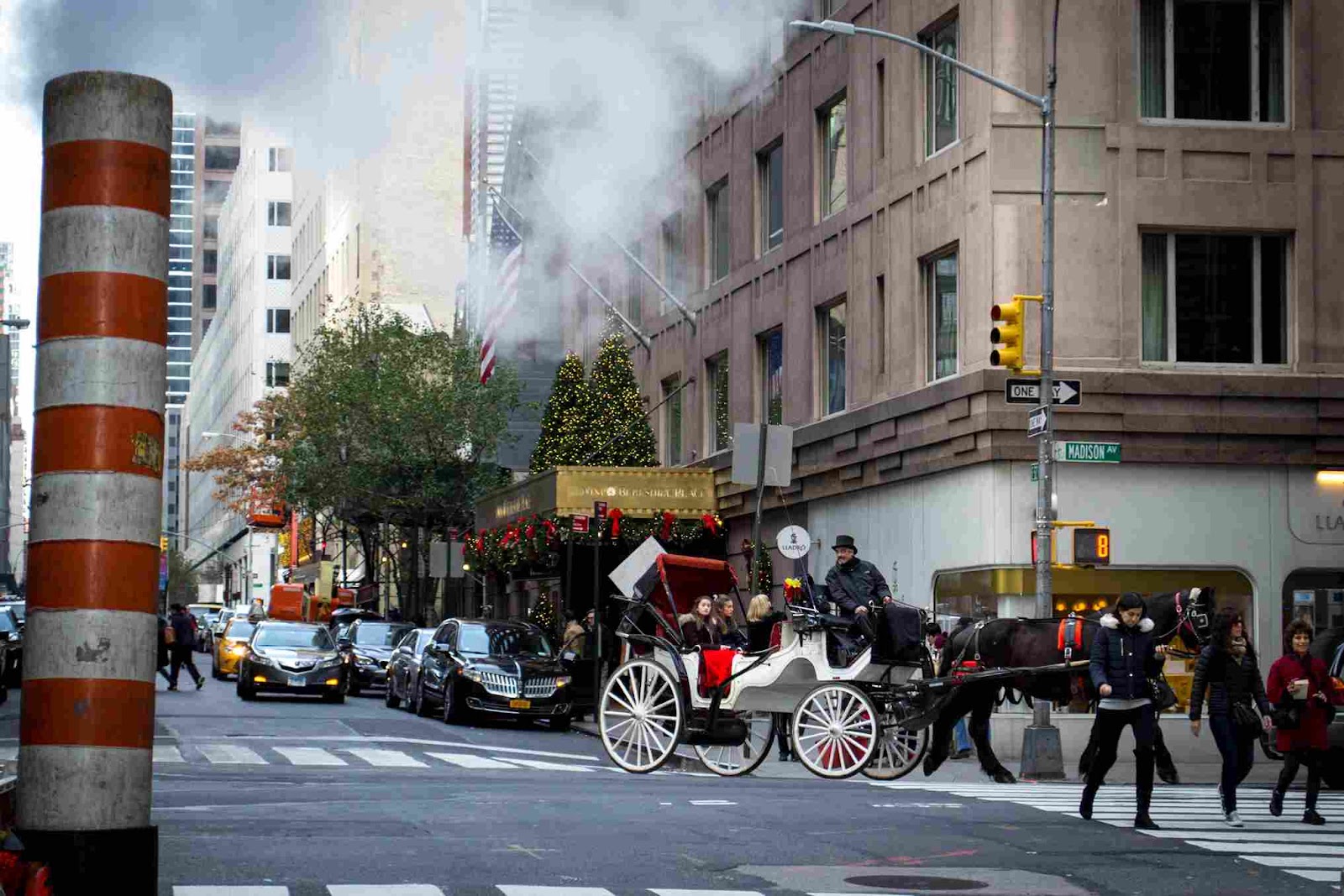 Central Park Carriage Tours