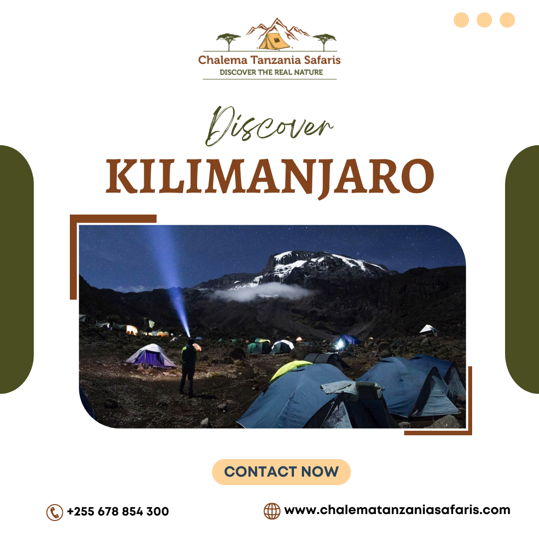 climbing Kilimanjaro