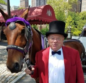 Central Park Horseback Riding