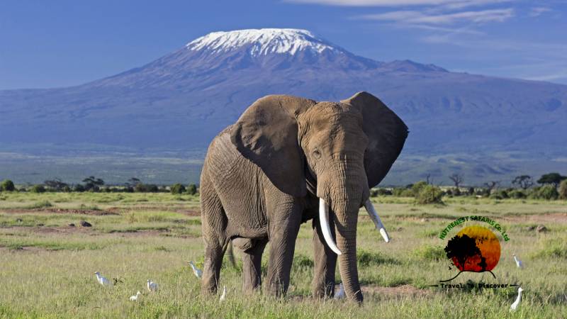 Amboseli National Park
