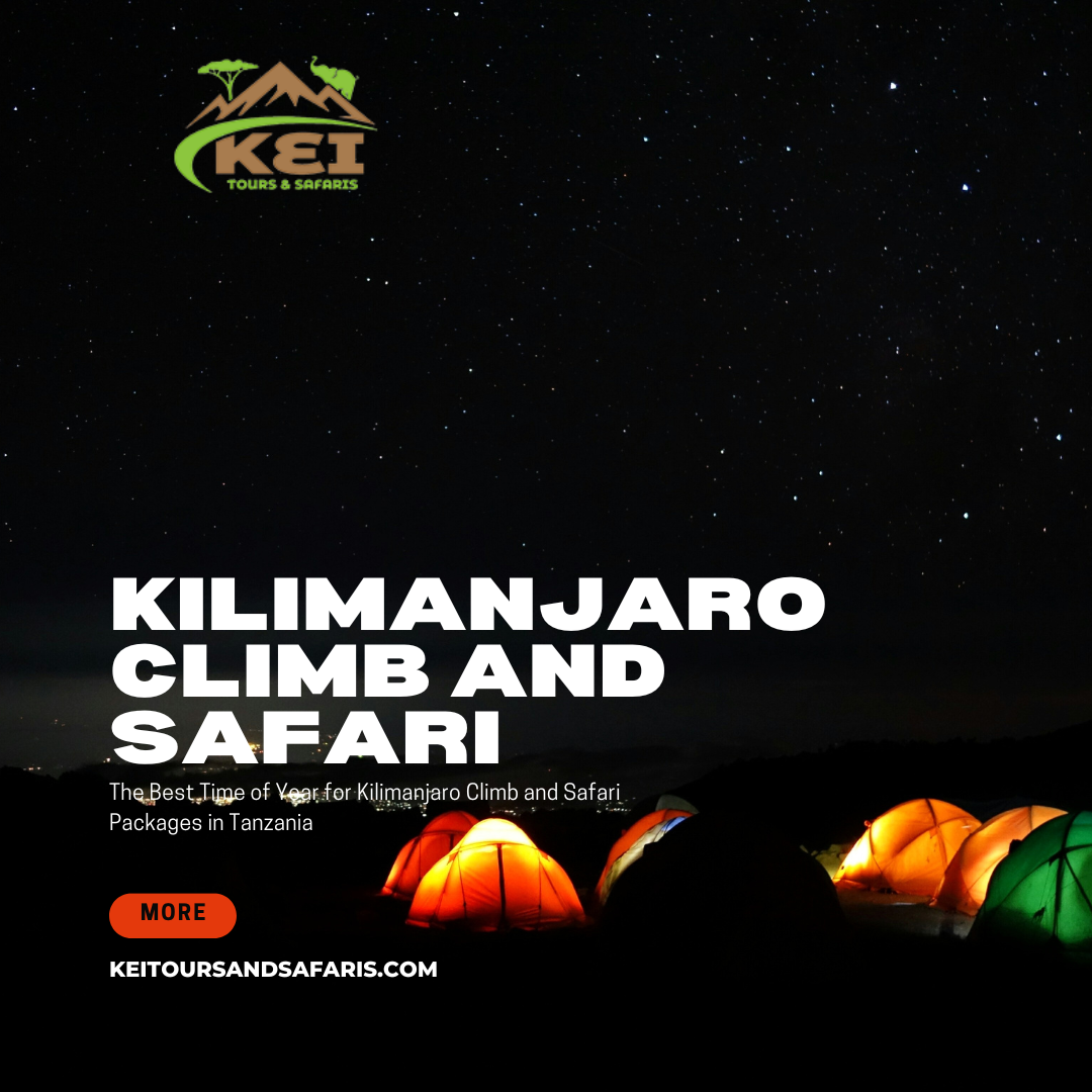 Kilimanjaro Climb and Safari