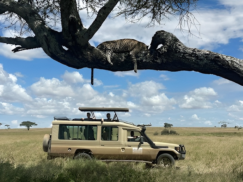 tarangire national park