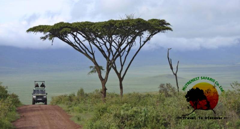 Ngorongoro Crater