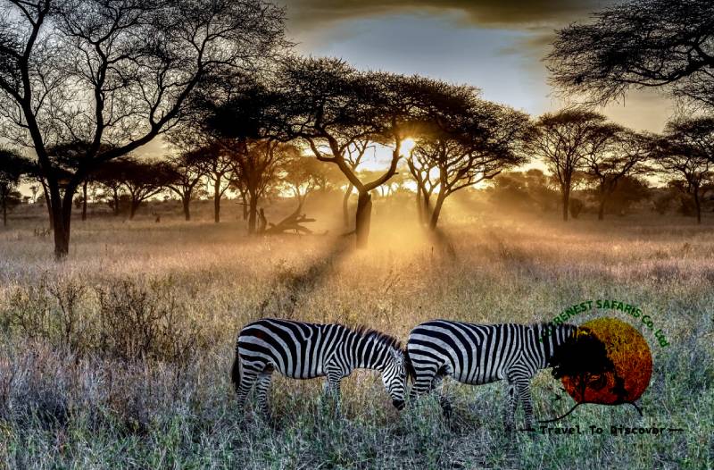 Serengeti National Park