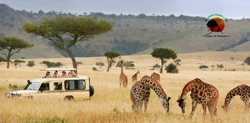 Tanzania’s Wildlife Hotspots