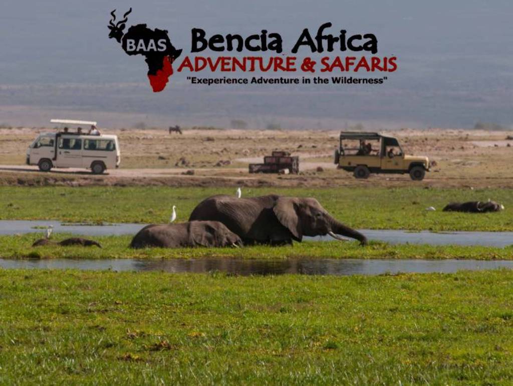 Kenya Safaris