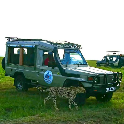 National Game Reserves in Kenya