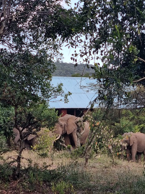 Game Reserves in Kenya