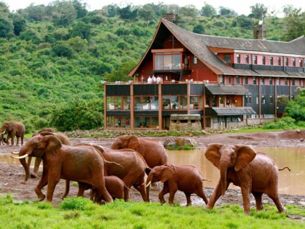 Luxury Lodge Safari in Kenya