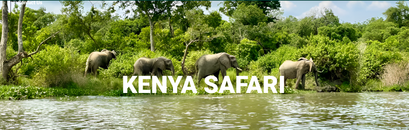 kenya safari