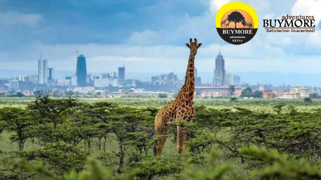 Nairobi Day Tour Excursions