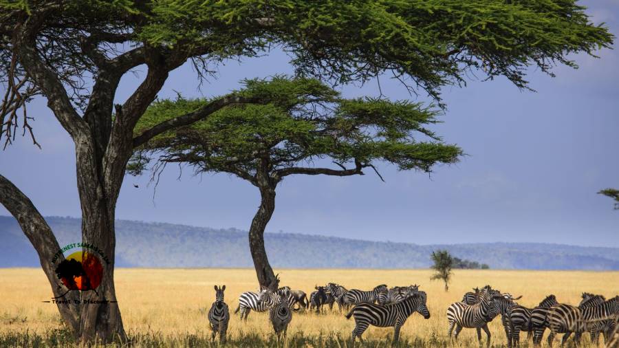 Serengeti National Park