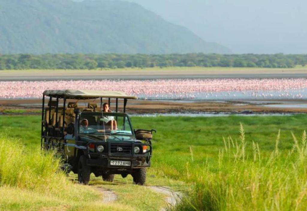 Tanzania Safaris