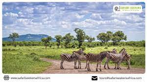 Photographic Safaris