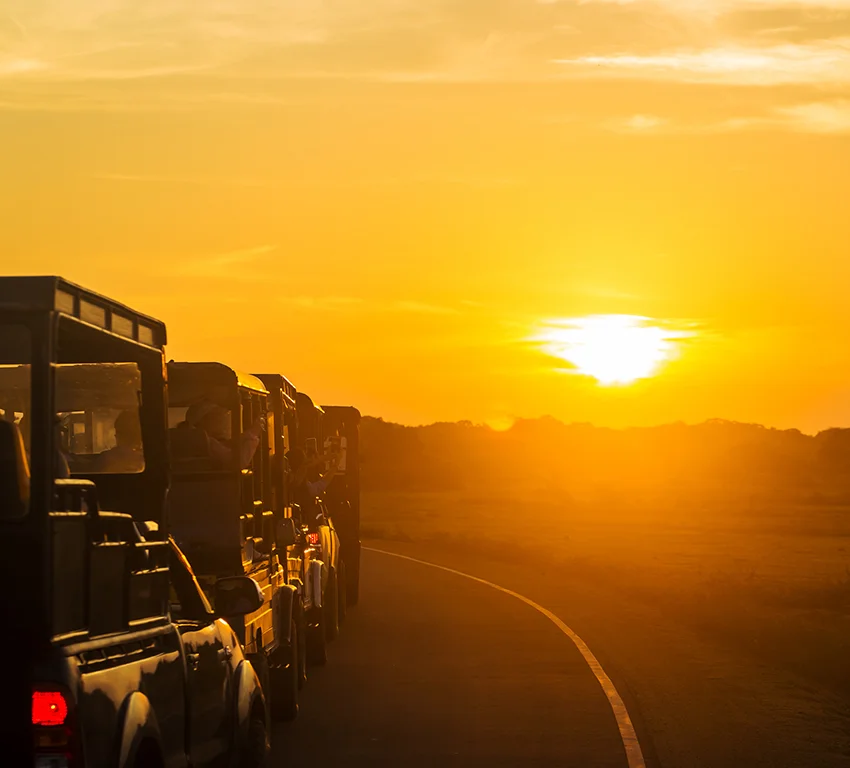 East Africa Safari & Coast