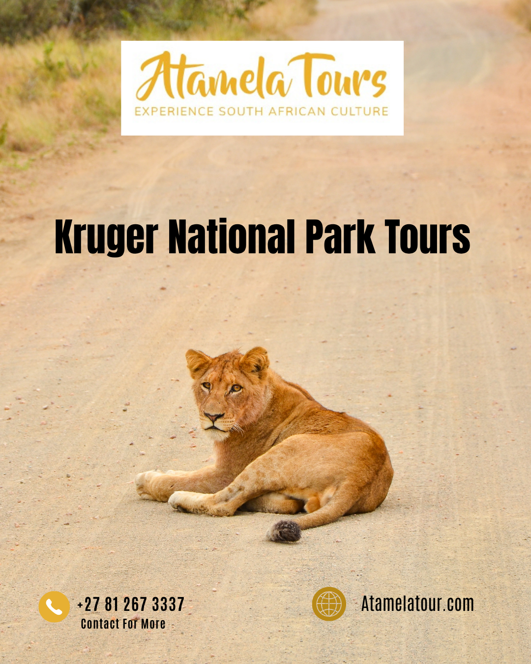 Kruger National Park Tours from Johannesburg