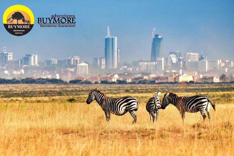Nairobi Day Tour Excursions