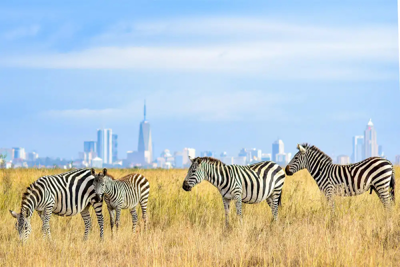 Day Tours from Nairobi